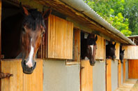 free Brown Moor stable construction quotes
